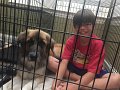 Alex_CagedAnimals_7-2016 (6)